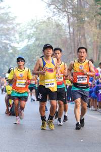 BIB: 47078, 16183, 17314
                            <button type="button" onclick="openModal(10412004)" class="btn btn-primary btn-sm float-right btn-popup" data-toggle="modal" data-target=".modal-high-quality">
                        <i class="fas fa-shopping-cart"></i> Add to Cart
                    </button>
                                            <button type="button" onclick="isThisMe(10412004, true)" class="btn btn-success btn-sm float-right btn-popup btn-isme hidden" data-toggle="tooltip" data-placement="bottom" title="นี่คือรูปของคุณใช่ไหม คลิกที่นี่เพื่อเอาเข้าอัลบั้ม">
                        <i class="fas fa-plus"></i> Add to album
                    </button>
                    <button type="button" onclick="isThisMe(10412004, false)" class="btn btn-warning btn-sm float-right btn-popup btn-isnotme hidden">
                        <i class="fas fa-ban"></i> Remove from album
                    </button>